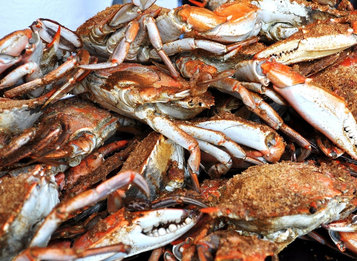 bigstock-Maryland-Crabs-7999898-1